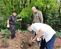 南线客运站管理人员参加集团植树活动